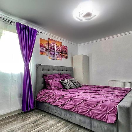Luxor Ultra-Central Apartments Сібіу Екстер'єр фото